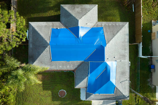 Professional Roofing Service in Cayuga, IN