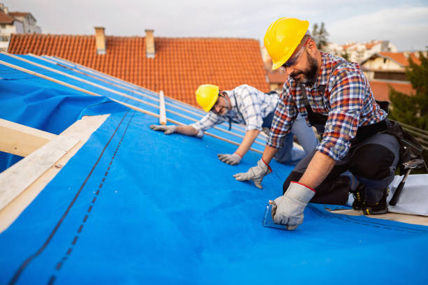 Best Roof Ventilation Installation  in Cayuga, IN