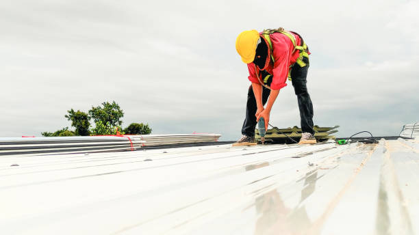 Best Emergency Roof Repair Services  in Cayuga, IN