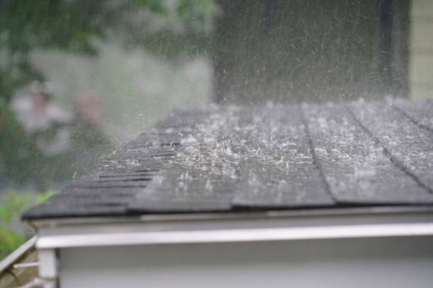 Best Gutter Replacement  in Cayuga, IN