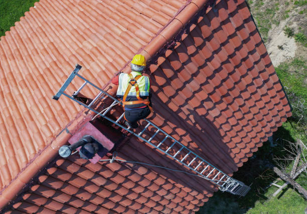 Best Sheet Metal Roofing  in Cayuga, IN